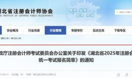 会计师在线观看,便捷高效掌握专业知识